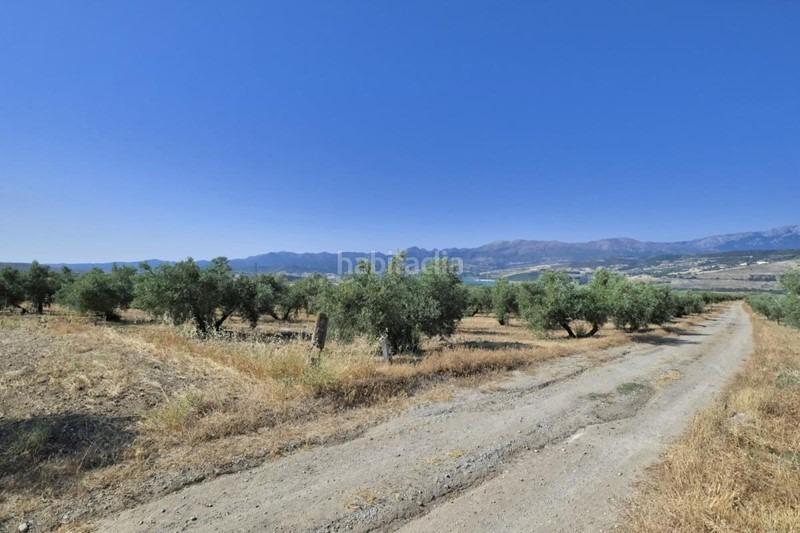 Foto a1267577-af6d-4d7b-8396-e73492d73b2c. Bauernhof in Arenas del Rey