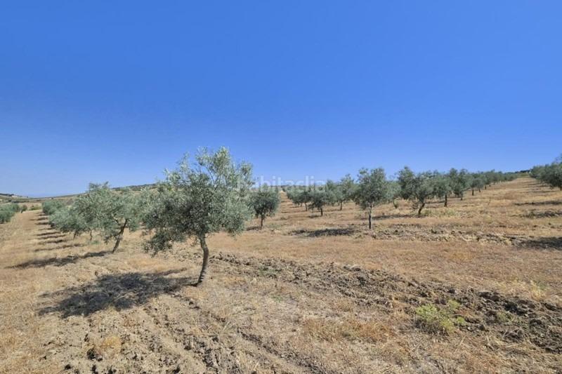 Foto bd0fd7a1-692f-4cb0-8c38-bedf24956c77. Bauernhof in Arenas del Rey