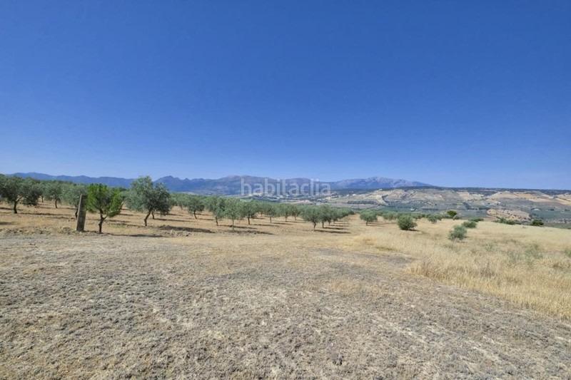 Foto c143d7b5-a7a7-42d9-874e-f6433bc29de6. Bauernhof in Arenas del Rey