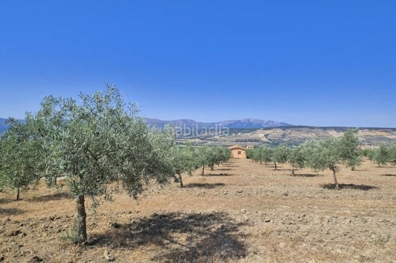 Foto c5402870-7464-477c-a933-f62ecf35a124. Bauernhof in Arenas del Rey