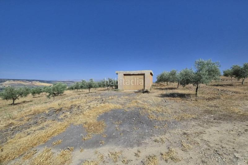 Foto c7311ece-80df-4b79-bdc4-de6b2096580b. Bauernhof in Arenas del Rey