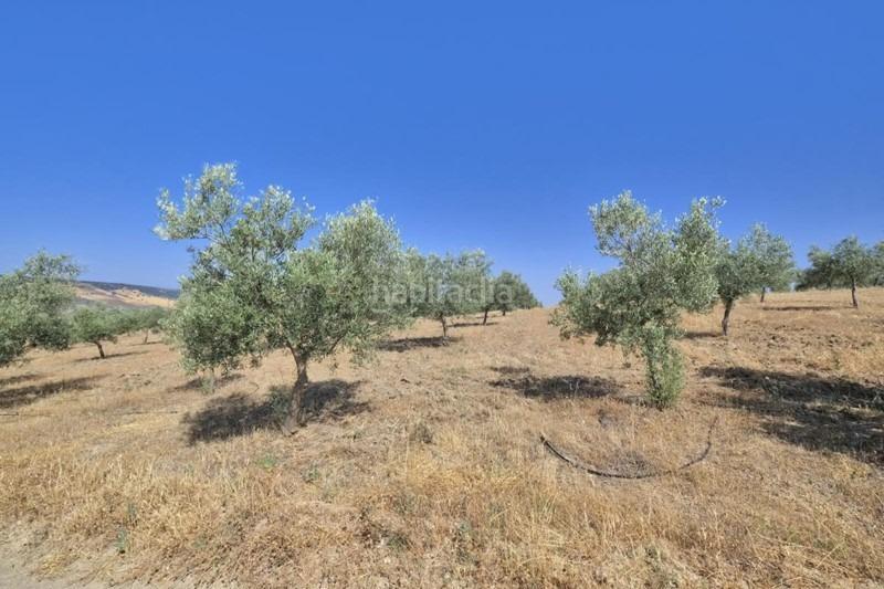 Foto cea68026-d05b-47ec-b2b9-f9cff2bdf101. Bauernhof in Arenas del Rey