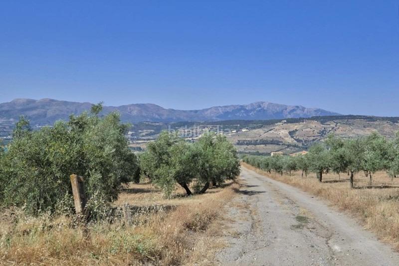 Foto d940d4b3-78ce-4b54-8245-73820ea74241. Bauernhof in Arenas del Rey