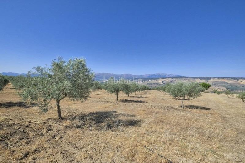 Foto dd28c587-ad82-41e0-9565-84e3f9251178. Bauernhof in Arenas del Rey