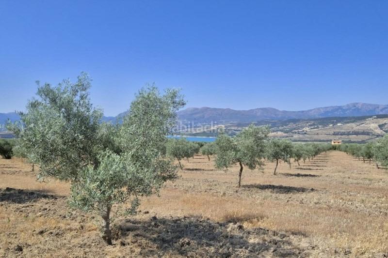 Foto f218e136-44c8-48be-b5e8-608f4d2bfe82. Bauernhof in Arenas del Rey