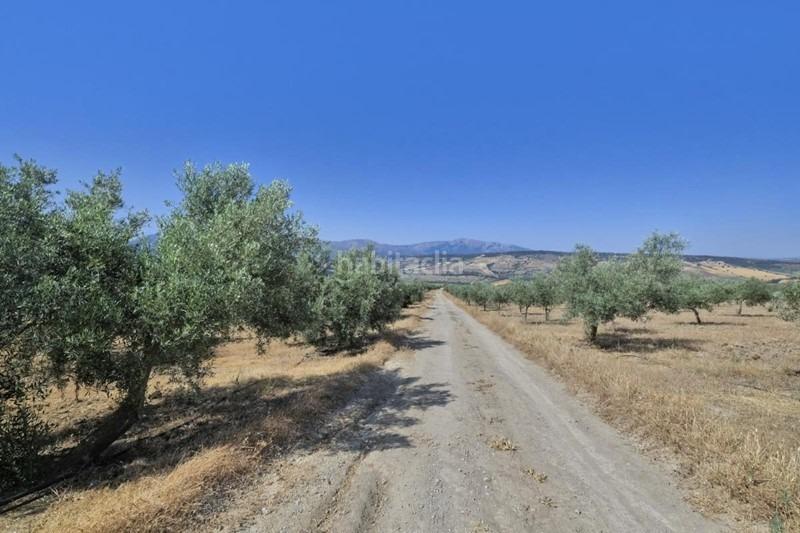 Foto fa837e9a-8ae5-402b-8c15-7d0db0115b34. Bauernhof in Arenas del Rey