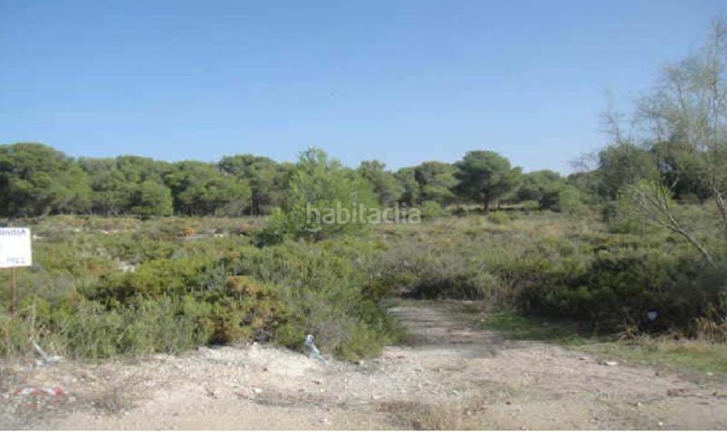 Foto aff217ed-7975-42cf-b6b9-8da74940232a. Finca rústica oportunidad de inversión en los llanos de silva!! en Calicasas