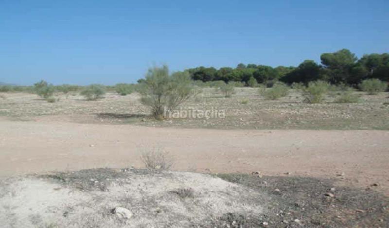 Foto c9af5b97-6db1-42ac-9ffe-e6da40fcab09. Finca rústica oportunidad de inversión en los llanos de silva!! en Calicasas