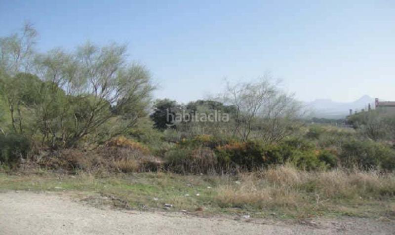 Foto dbca6a4b-7b23-45d0-abb8-232d29ee345d. Finca rústica oportunidad de inversión en los llanos de silva!! en Calicasas
