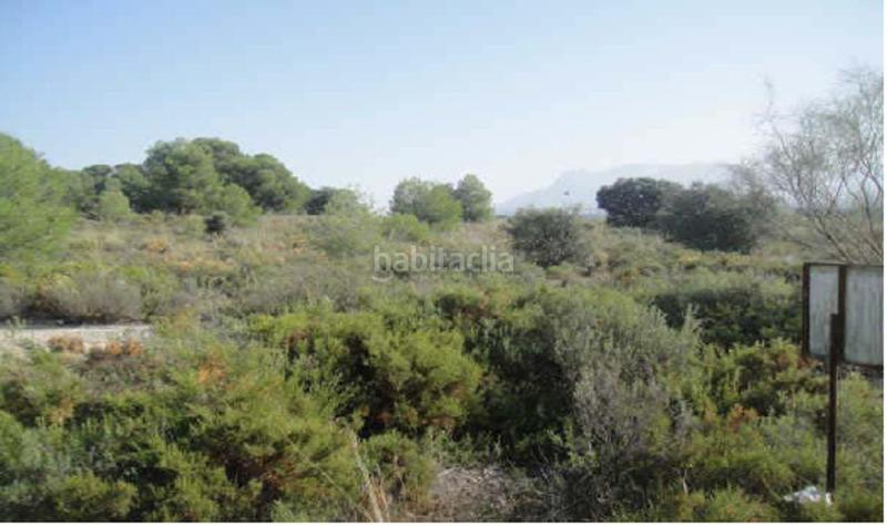 Foto f06657fd-1314-49a7-bcc8-09036e75b0d0. Finca rústica oportunidad de inversión en los llanos de silva!! en Calicasas