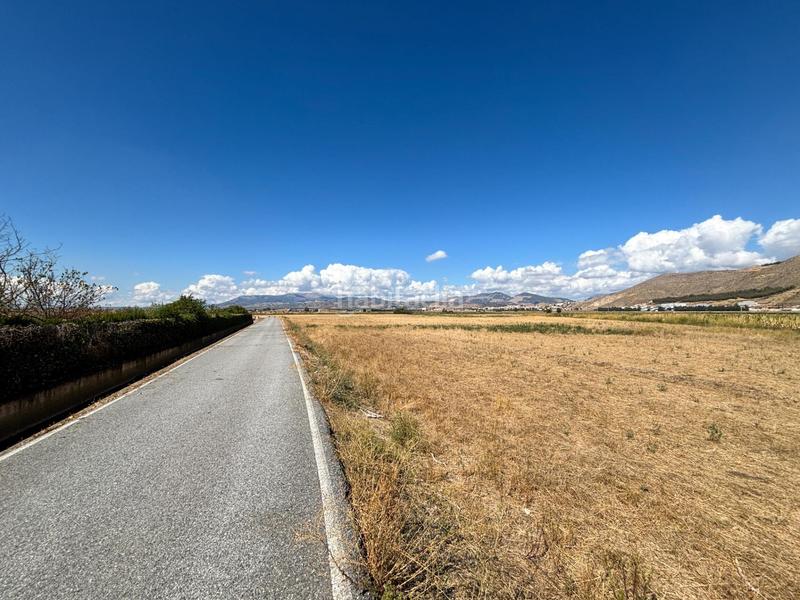 Foto 2dd16cb6-a7dd-4480-961d-f4b16b71e3f1. Landgut in Pinos Puente