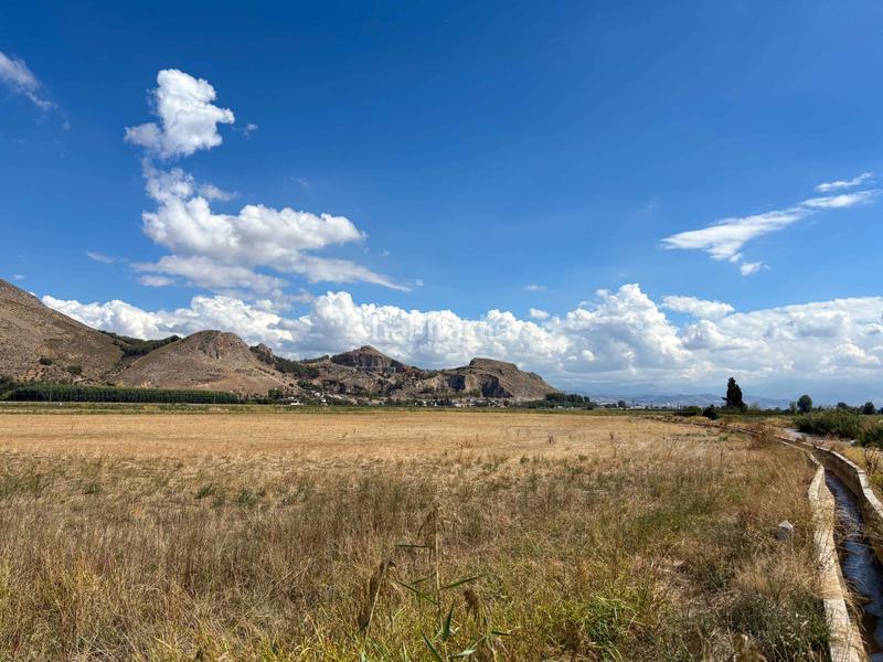 Foto 3198fdb7-b012-4a3c-bd77-ae8016d986be. Landgut in Pinos Puente