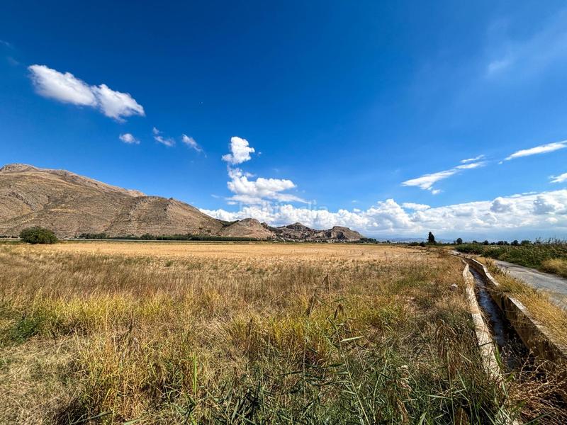 Foto 3aa5002c-e31d-4235-a9b8-3d4c41121719. Landgut in Pinos Puente