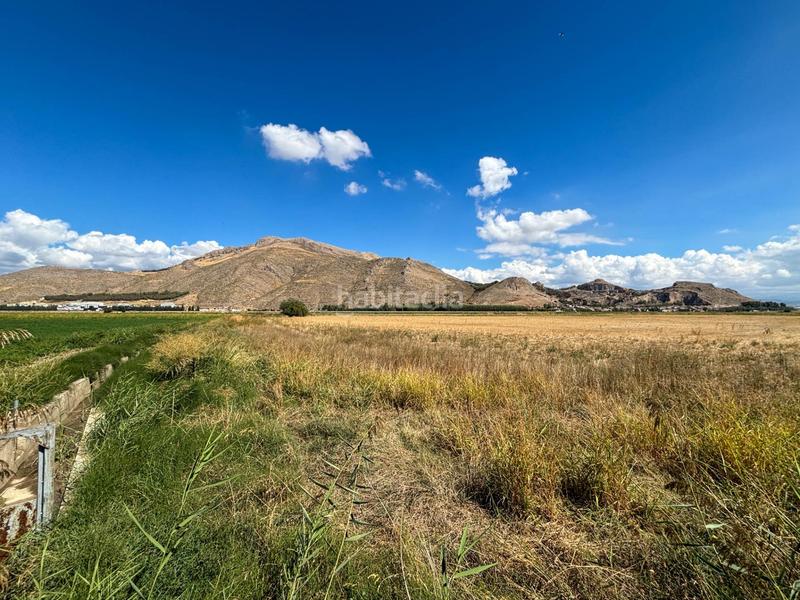 Foto 5dc924bc-e720-48af-bd0e-eb341a95b31e. Landgut in Pinos Puente