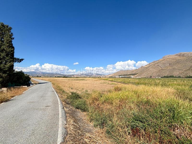 Foto 625d415f-2fef-4c1a-896c-9a508a1f7b70. Landgut in Pinos Puente