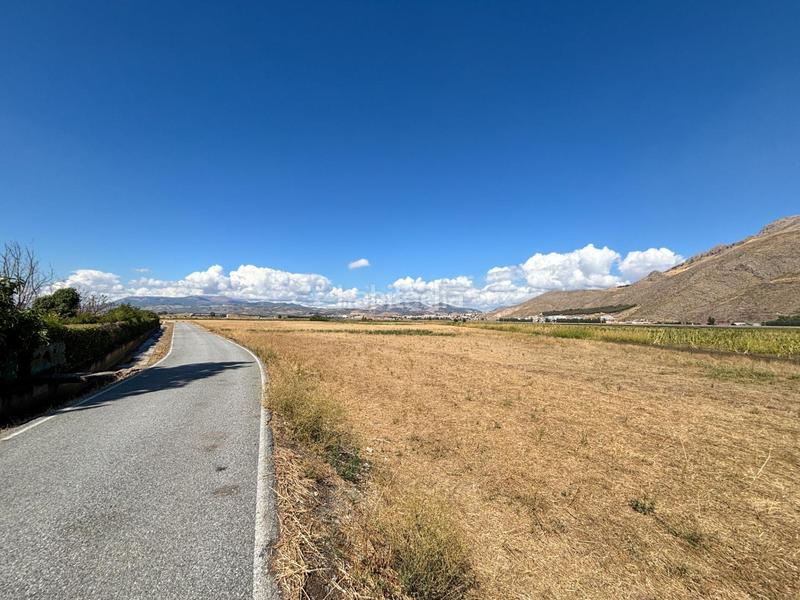 Foto 75743be4-2193-40ad-a810-11de07a8910d. Landgut in Pinos Puente