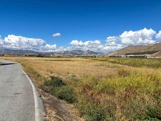 Fondo rustico  Polígono de la vega. Finca de regadío en cantarrana!!