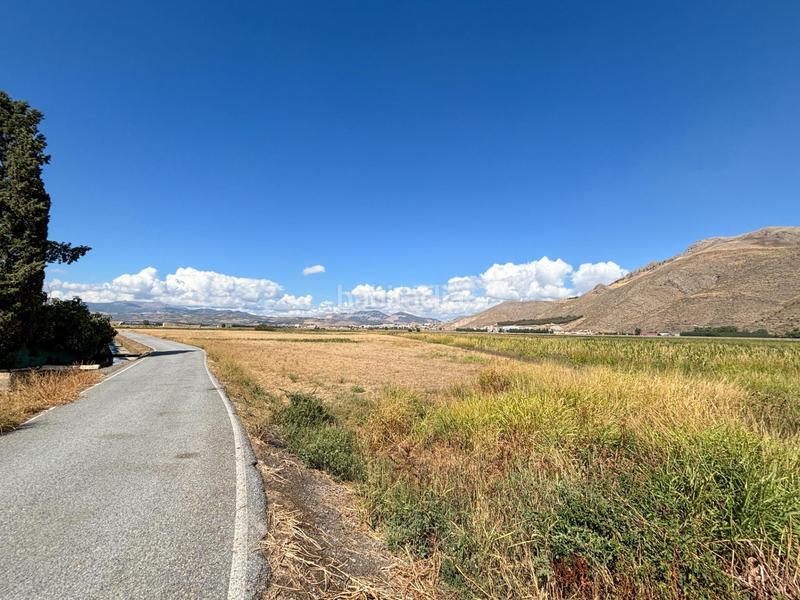 Foto aacf8c77-b318-4740-ba29-1a231f1b75e6. Landgut in Pinos Puente