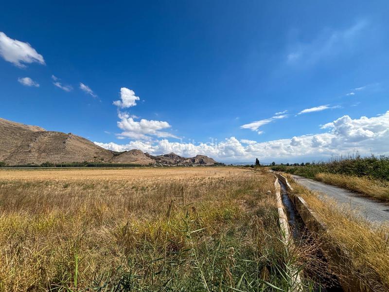 Foto cfe8b5b1-c752-49d6-864a-e6026c13ddfe. Landgut in Pinos Puente