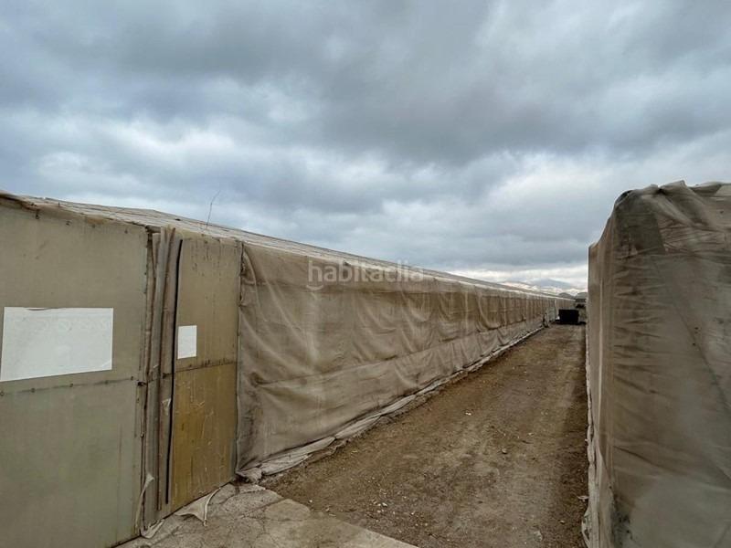 Foto 7beb11ec-13c8-4730-9b4a-85614992c6d1. Propriété dans Playa de Granada Motril