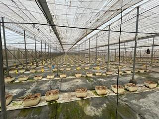 Finca rústica  Motril. Oportunidad de inversión en motril!!
