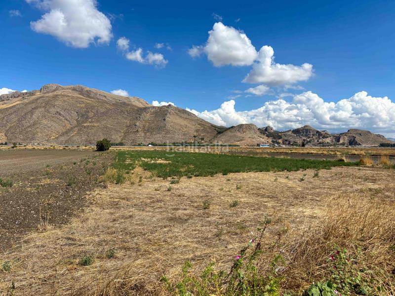 Foto 535f45d6-9c0c-46e0-8901-005ddea1ad28. Rural plot in Pinos Puente