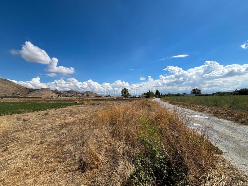 Foto dd752a96-3118-4cc1-9f5c-49d04c1bade0. Rural plot in Pinos Puente