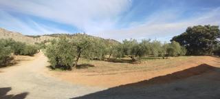 Finca rústica  Camino del albarrate. Oportunidad en albolote