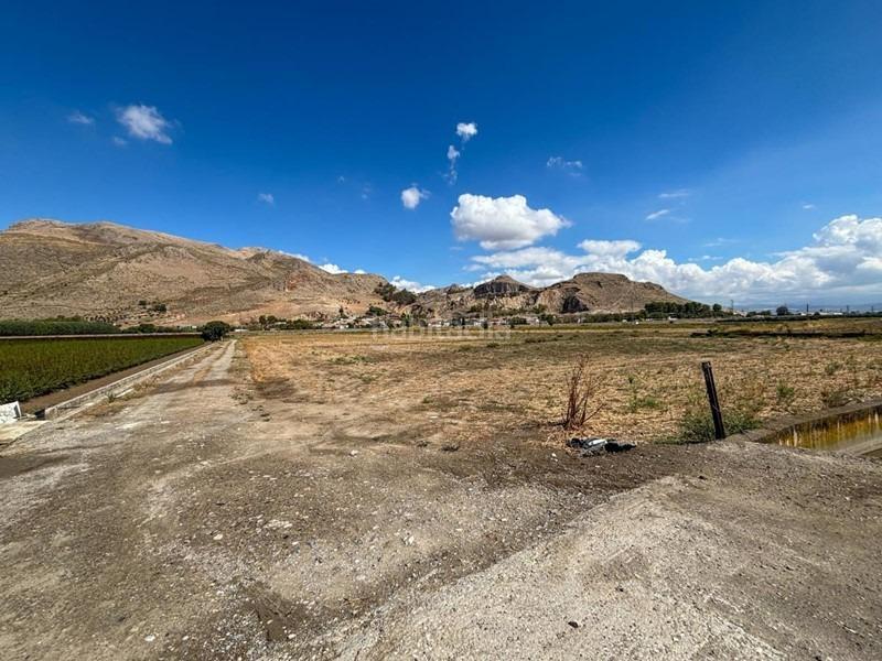 Foto 6ddcb52b-121e-43e7-96fd-58ef04e9d1dd. Propriété dans Atarfe