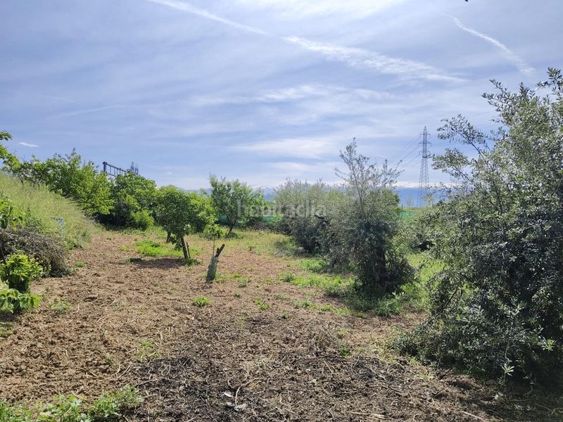 Foto 14bbfabc-1e72-473a-a679-98514c0638bc. Masia amb aparcament a Albolote
