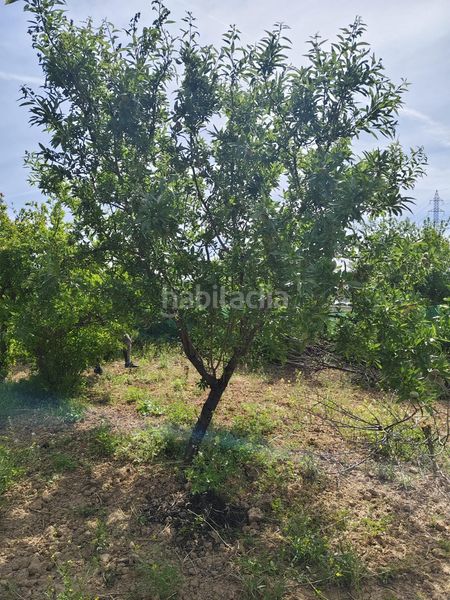 Foto 6a5527dc-250f-45d7-9fa5-3ce3b53aee8e. Masia amb aparcament a Albolote