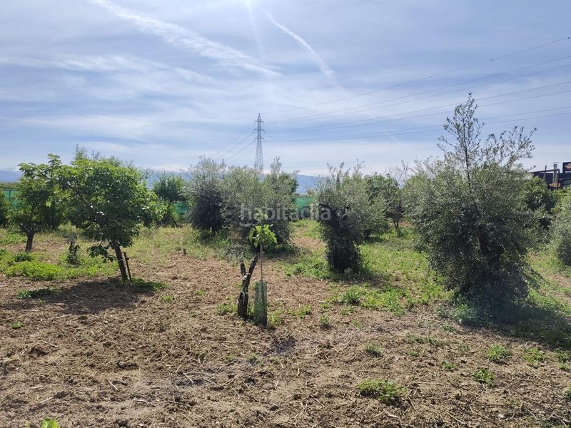 Foto a2cf2760-6ce2-4b01-a462-08be2201b70e. Masia amb aparcament a Albolote