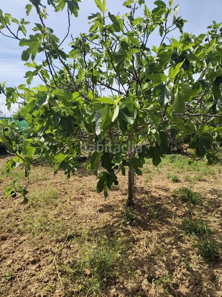 Foto f17b0676-5b0b-49da-9dfb-93bfc80323d8. Masia amb aparcament a Albolote