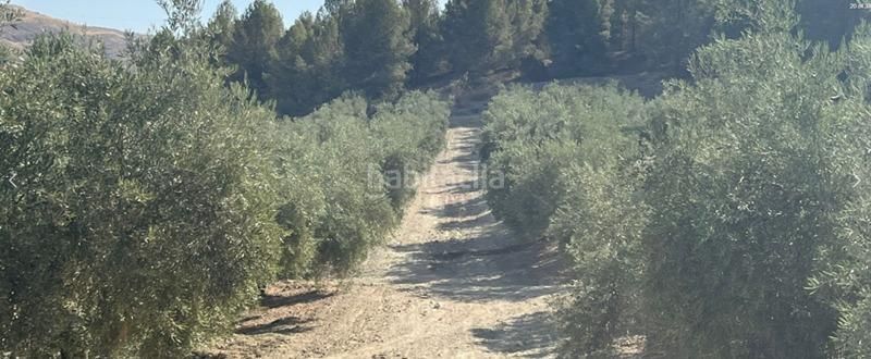 Foto 0aaad4a9-7ae0-4ee0-b866-7fd261516e56. Finca rústica a Malahá (La)