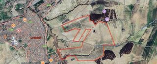 Rural plot in Malahá (La). Estupenda finca de olivar en la malahá!!