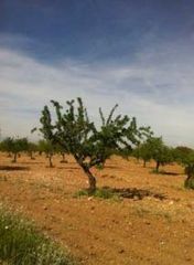 Finca rústica  Avenida avenida mariana pineda. Oportunidad de inversión en guadix!