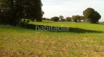 Foto 8a1f22f1-ac1a-463a-9761-2eecd95731b6. Finca rústica a Guadix