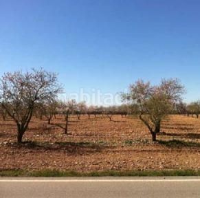 Foto f5fdd1d9-31c9-4b9b-960b-23e726f5a3bd. Finca rústica a Guadix