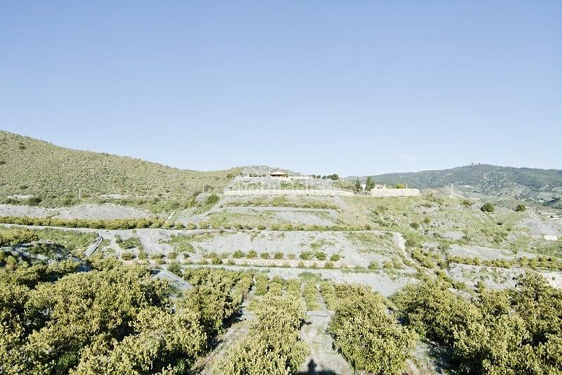 Foto 1d46c95f-7e56-43a6-a893-7ac5f54e0f57. Finca rústica a Los Tablones - La Garnatilla Motril