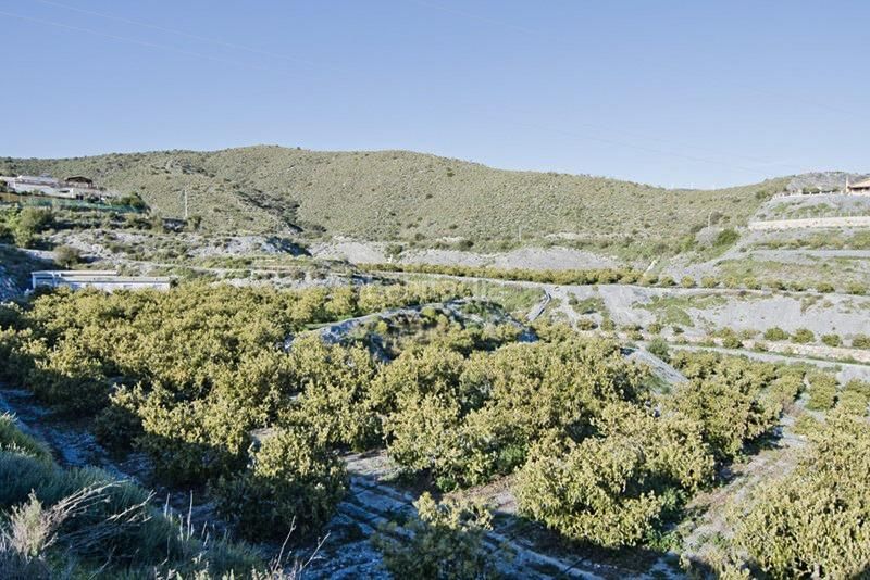 Foto 8967f9eb-0970-4080-9a34-23a0e3195615. Finca rústica a Los Tablones - La Garnatilla Motril