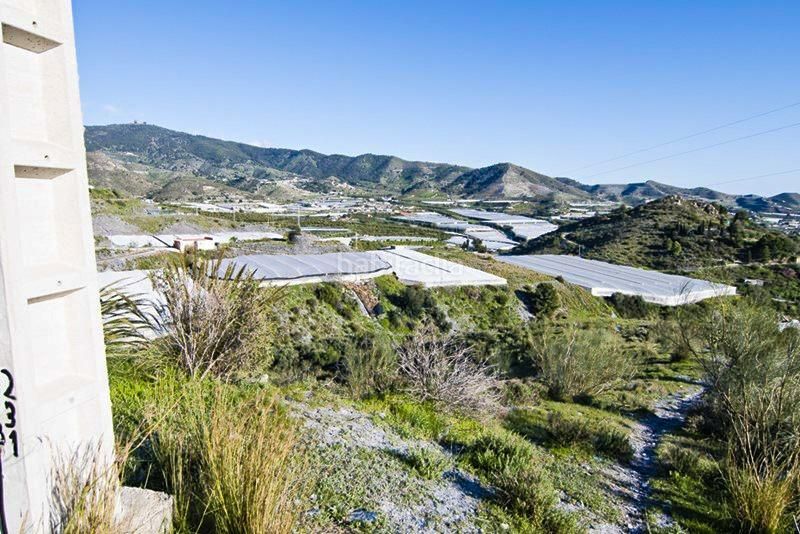 Foto d9c5f6e8-ac7e-4a4b-a920-18083bf2cc22. Finca rústica a Los Tablones - La Garnatilla Motril