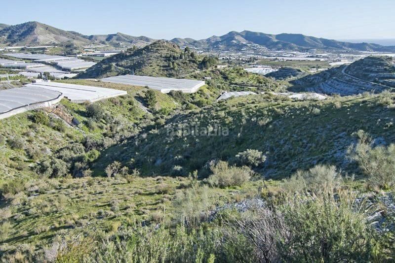 Foto e4c222c8-a6ca-48cb-b03e-695b00a67708. Finca rústica a Los Tablones - La Garnatilla Motril