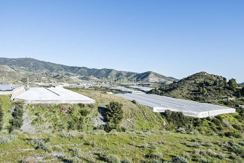 Foto fb590956-4b25-42ac-a2e4-bc26fbed42dd. Finca rústica a Los Tablones - La Garnatilla Motril