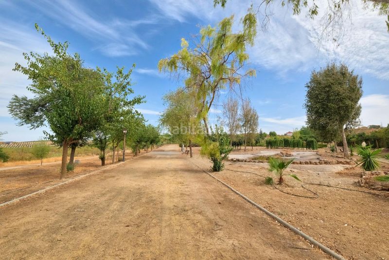 Foto 907ded72-c12a-47d9-8565-8051d06e8c97. Terreny residencial a Dílar