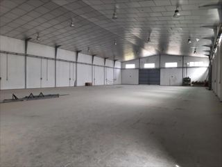 Bâtiment à usage industriel à Poleares. Nave industrial en ctra. rute