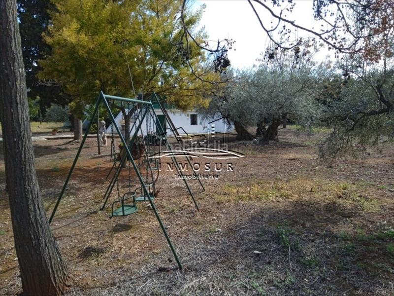 Foto 6ea27e50-bdfa-47a4-b580-0d6038fdebbd. Casa amb piscina a Las Vegas - Campoaras Lucena