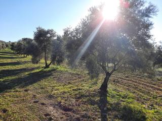 Terreno residenziale in Jauja