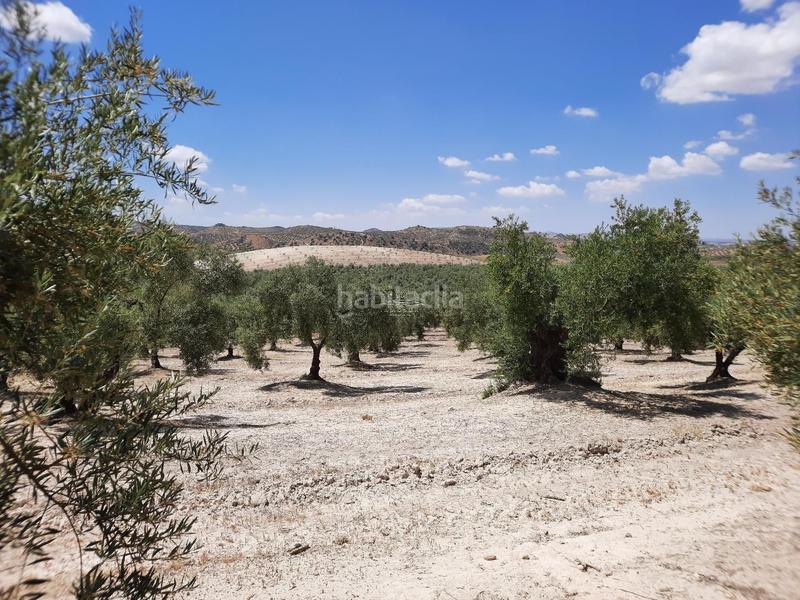 Foto 9ca162db-31f9-4473-ba15-b37746250752. Terreno residencial en Jauja Lucena