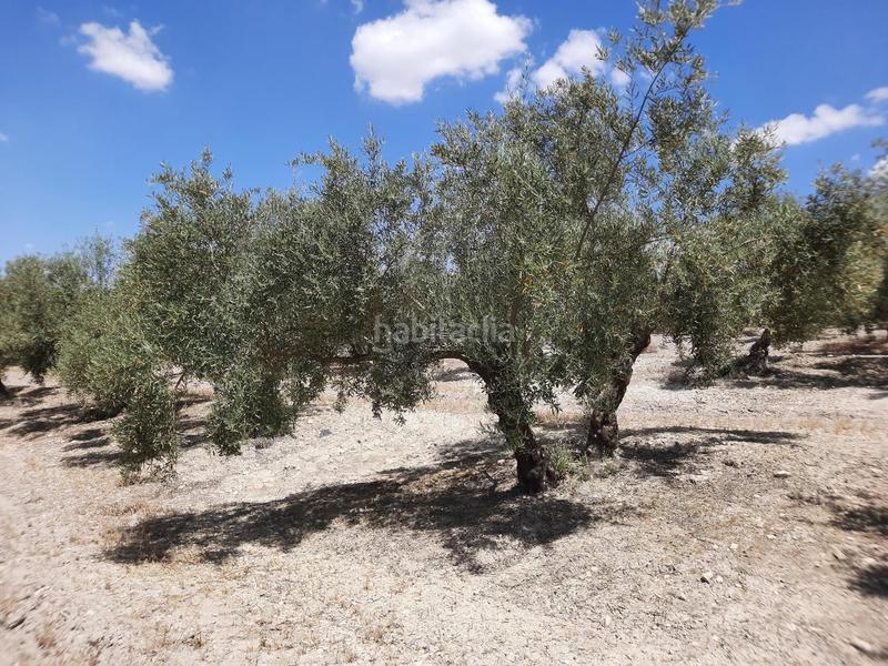 Foto 8d434544-bb3c-4f37-91fe-313546649005. Terrain résidentiel dans Jauja Lucena