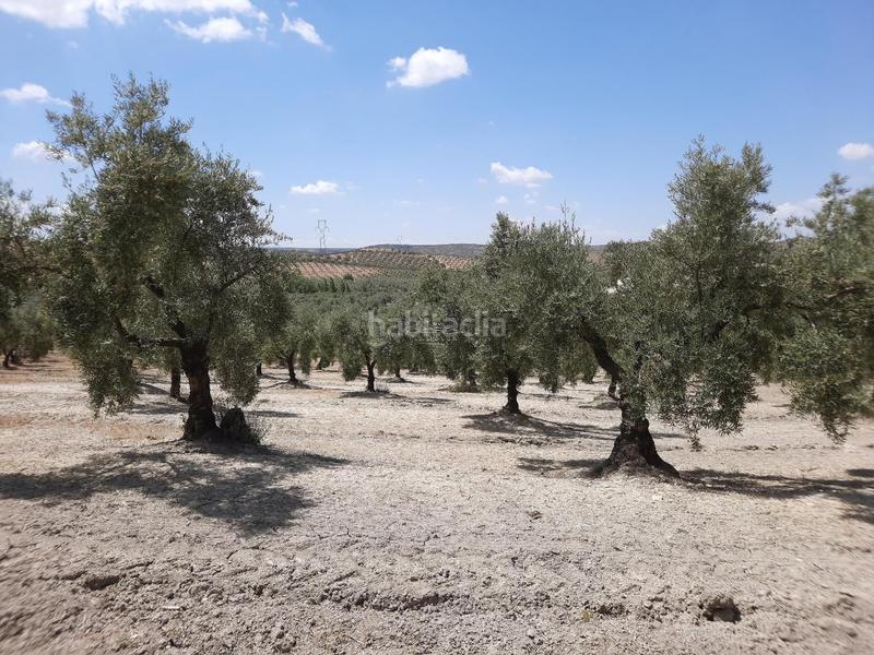 Foto 1fef1b0f-5588-4bc8-ac0e-0bc9928d9cf5. Terreno residenziale in Jauja Lucena